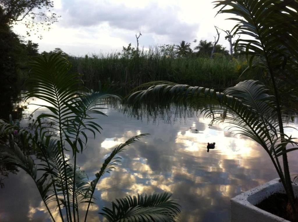 Albatros Cabarete Aparthotel Luaran gambar